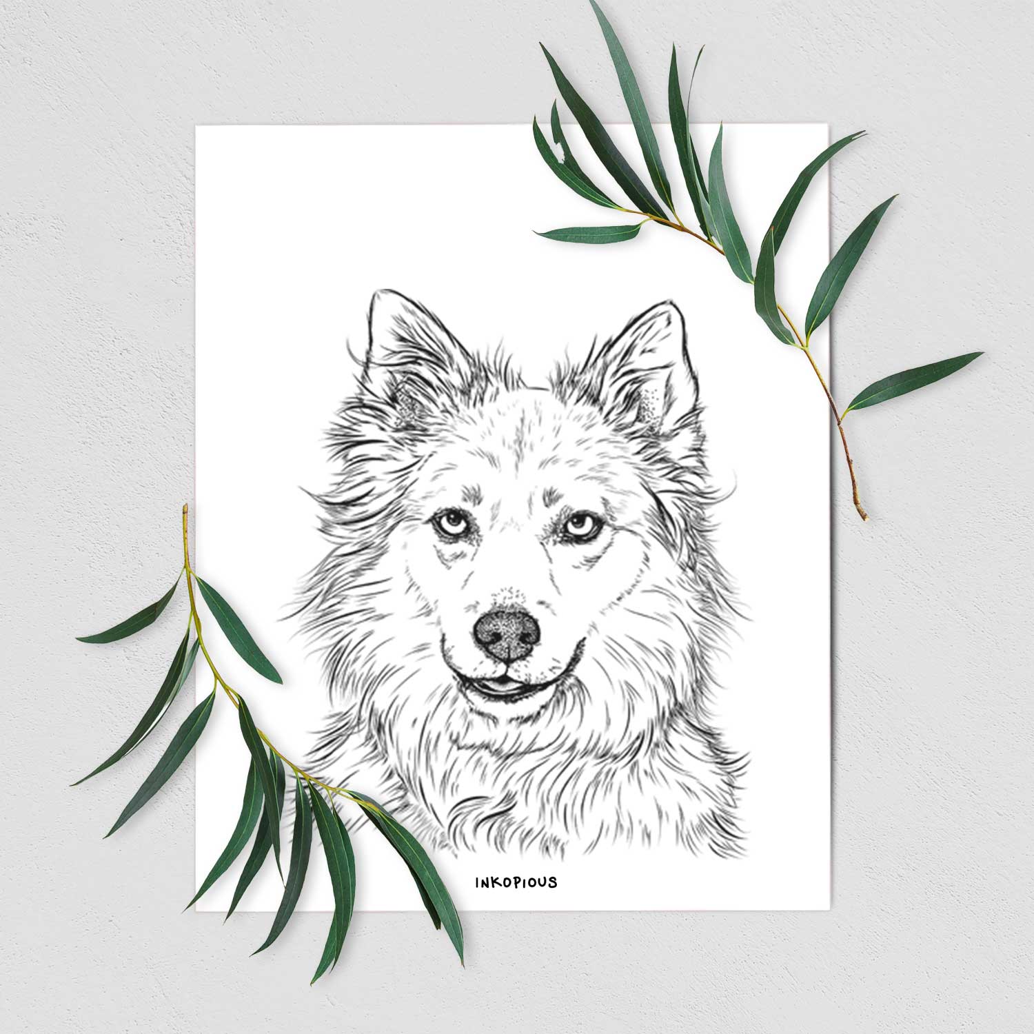 Chia the Samoyed Husky Mix Art Print
