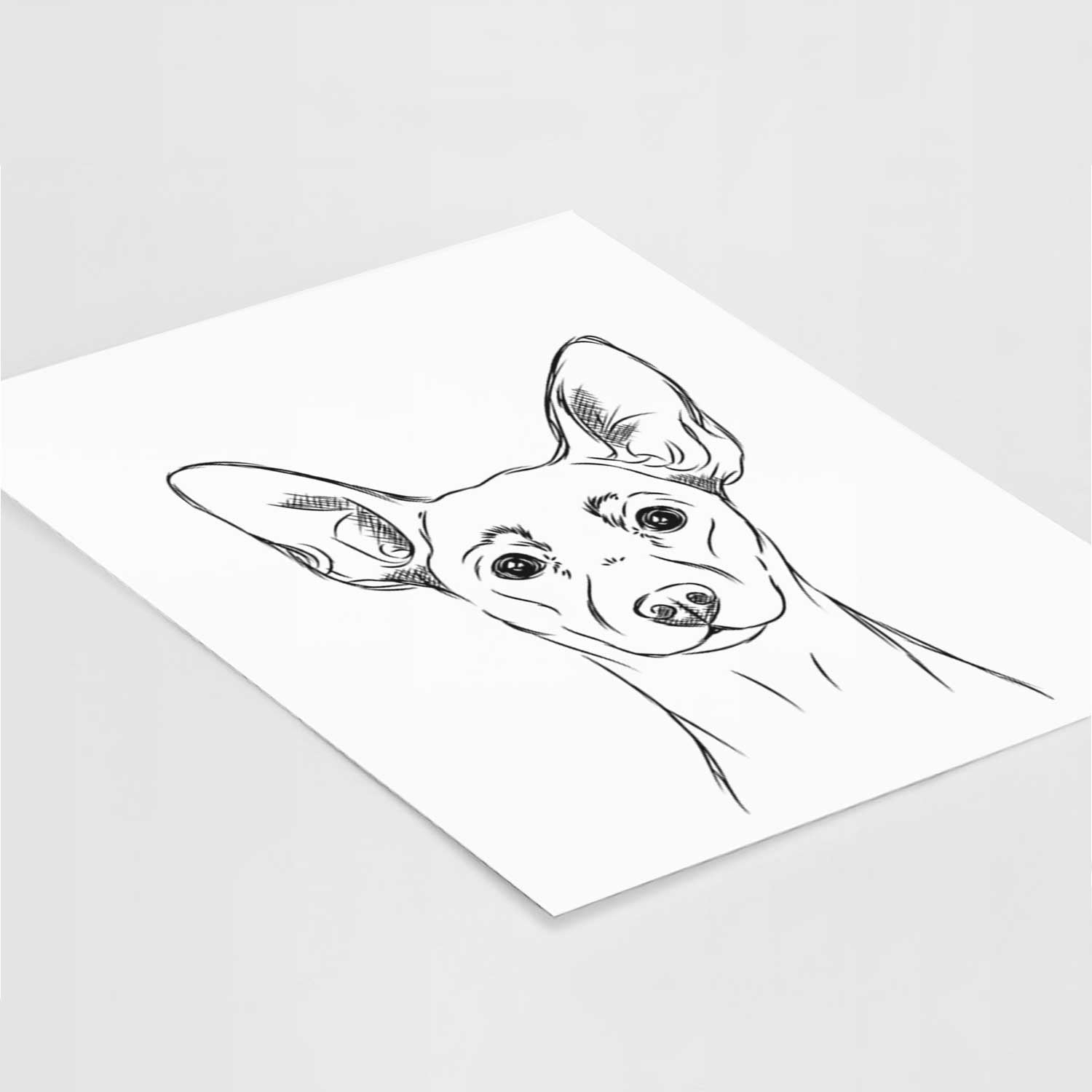 Chillie the Mini Pinscher Art Print