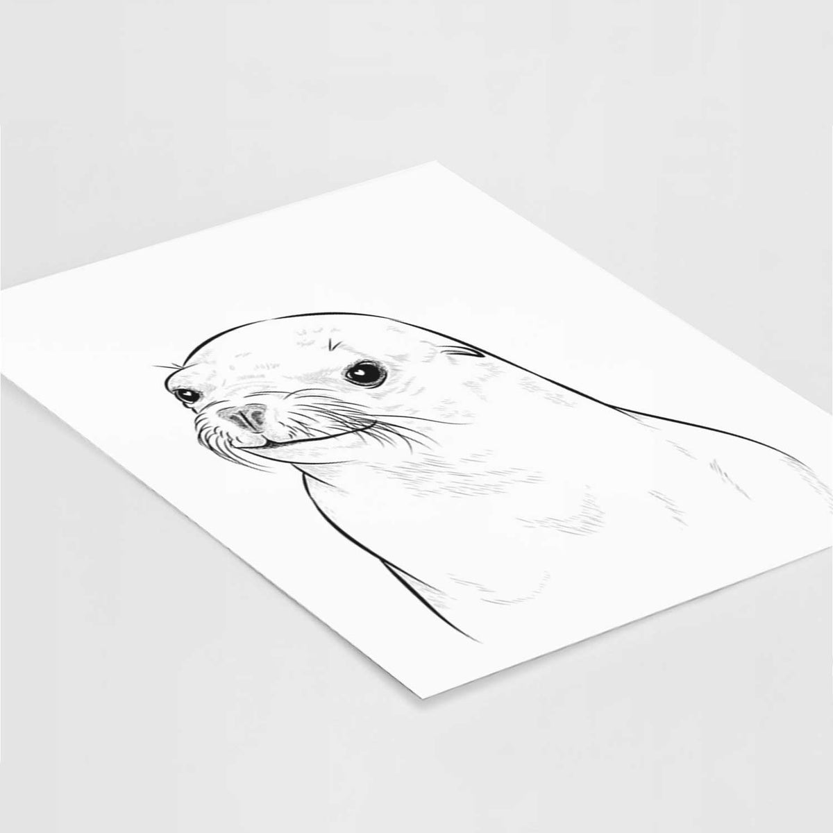 Chip the California Sea Lion Art Print