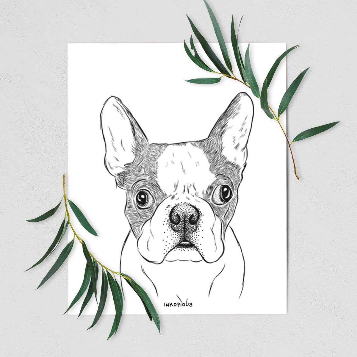 Chocolate Chip the Boston Terrier Art Print