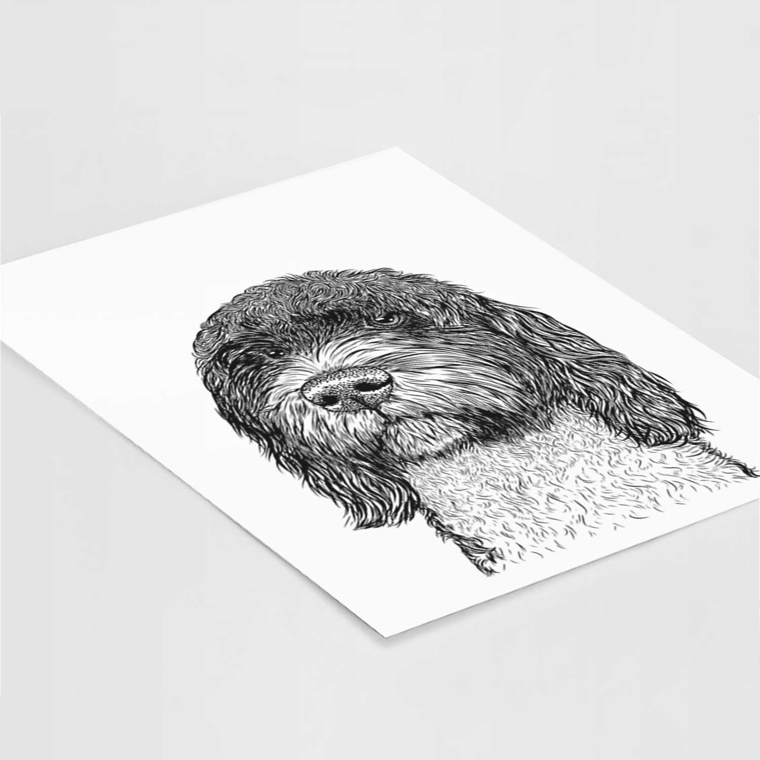 Chris the Portuguese Water Dog Art Print