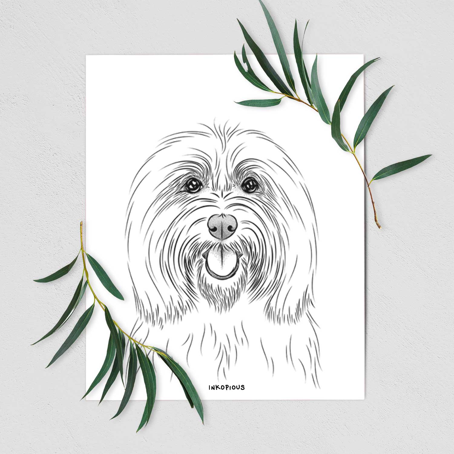 Claude the Coton de Tulear Art Print