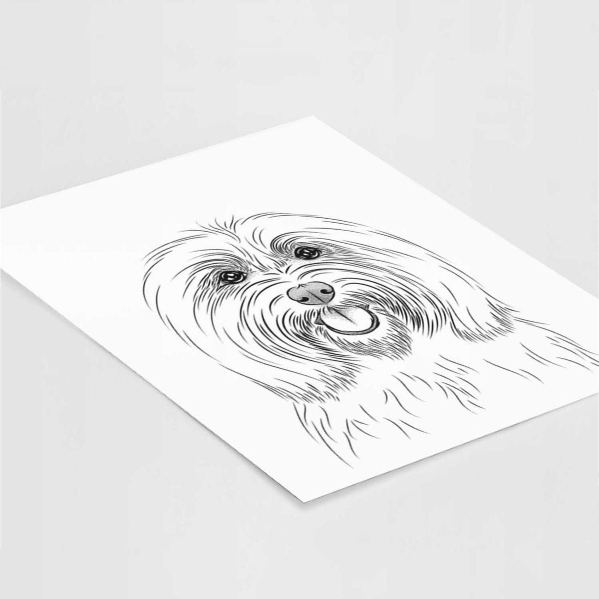 Claude the Coton de Tulear Art Print