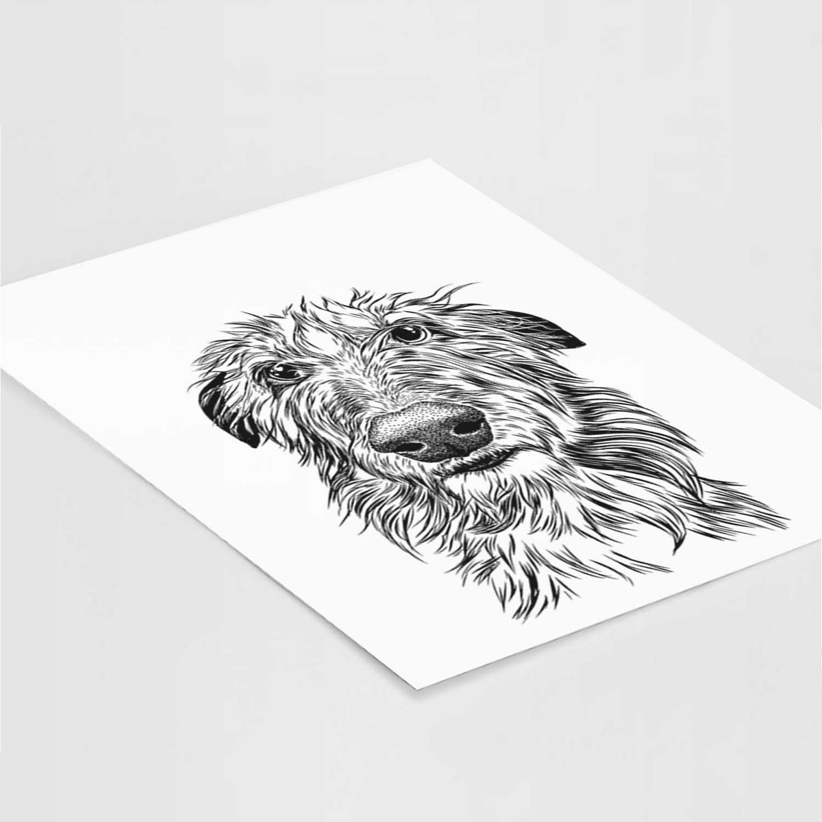 Cleod the Scottish Deerhound Art Print