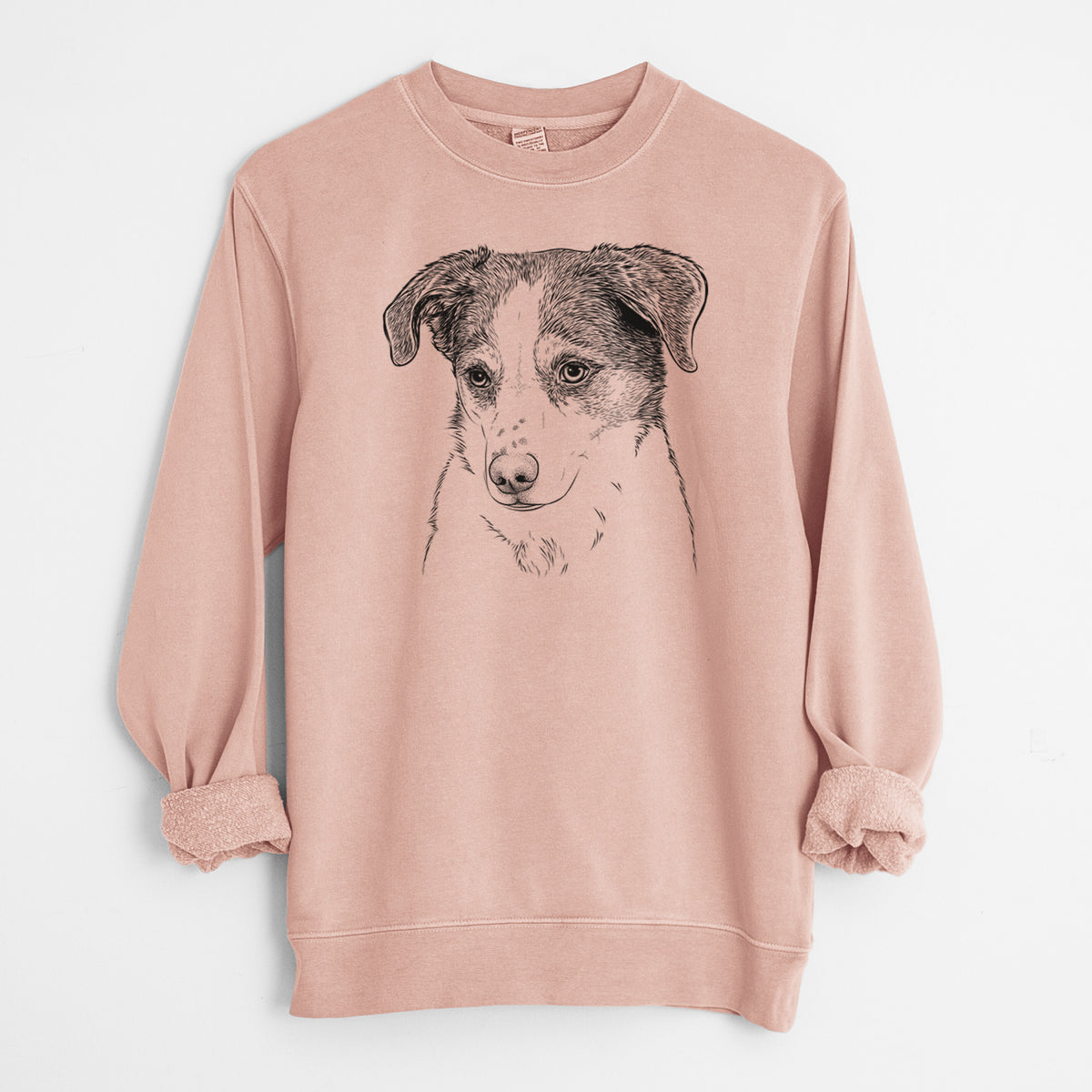 Bare Coco the Beagle Mix - Unisex Pigment Dyed Crew Sweatshirt