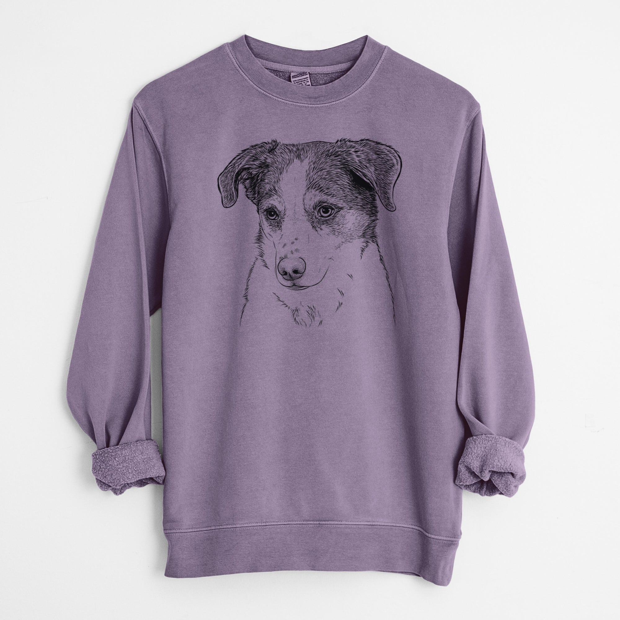 Bare Coco the Beagle Mix - Unisex Pigment Dyed Crew Sweatshirt