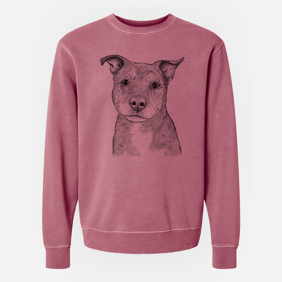 Bare Cody the Catahoula Mix - Unisex Pigment Dyed Crew Sweatshirt