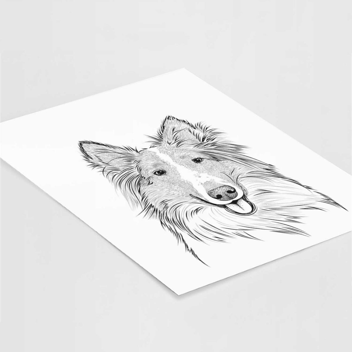Conrad the Rough Collie Art Print