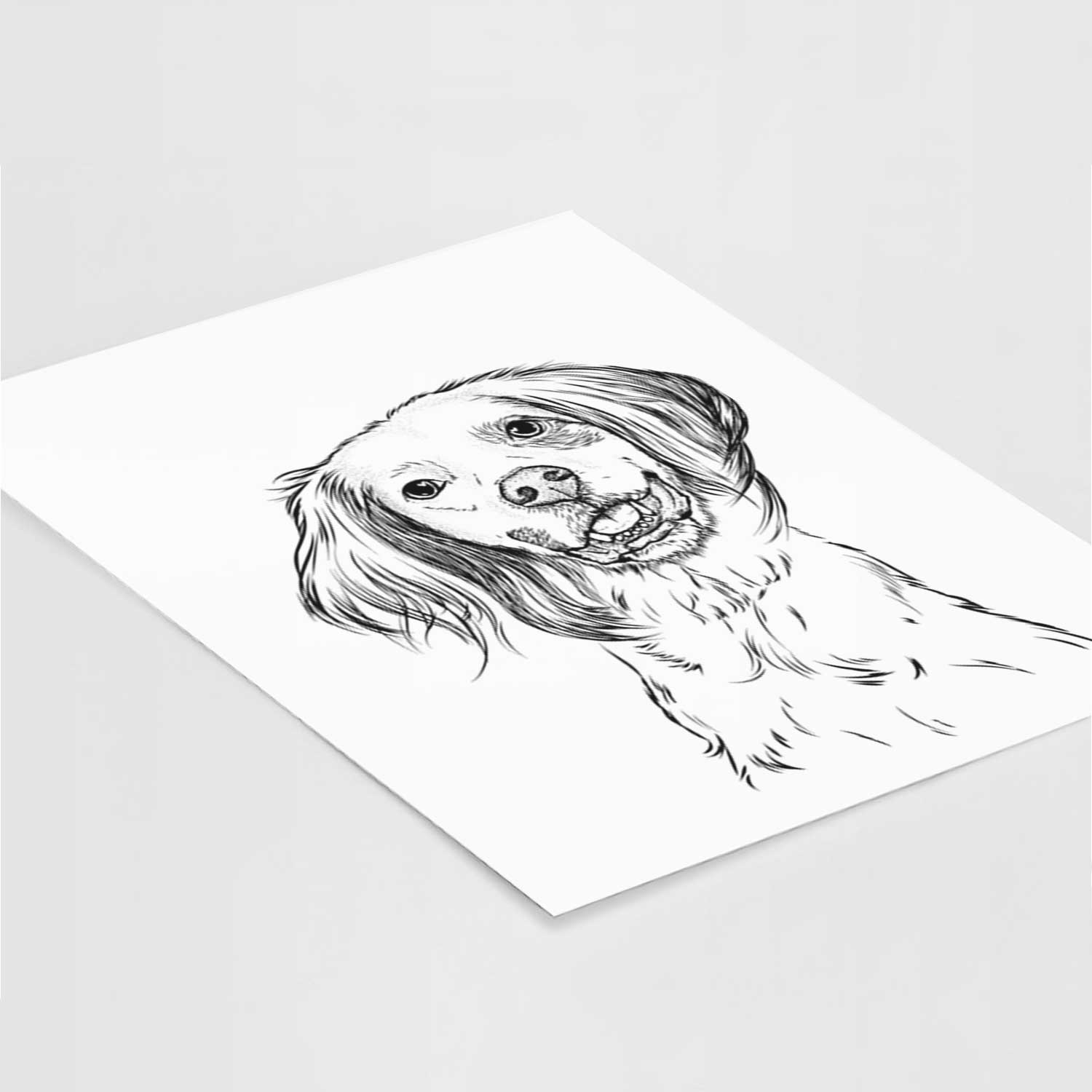 Cooper the English Setter Art Print