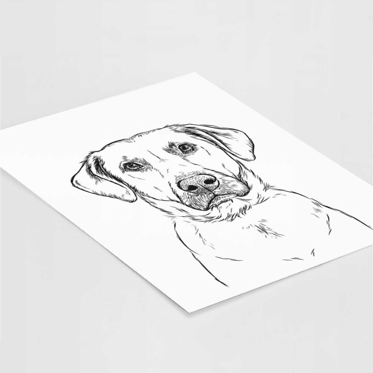 Cooper Griffin the Mixed Breed Art Print