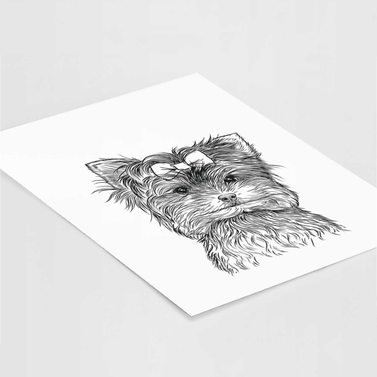 Cricket the Biewer Terrier Art Print