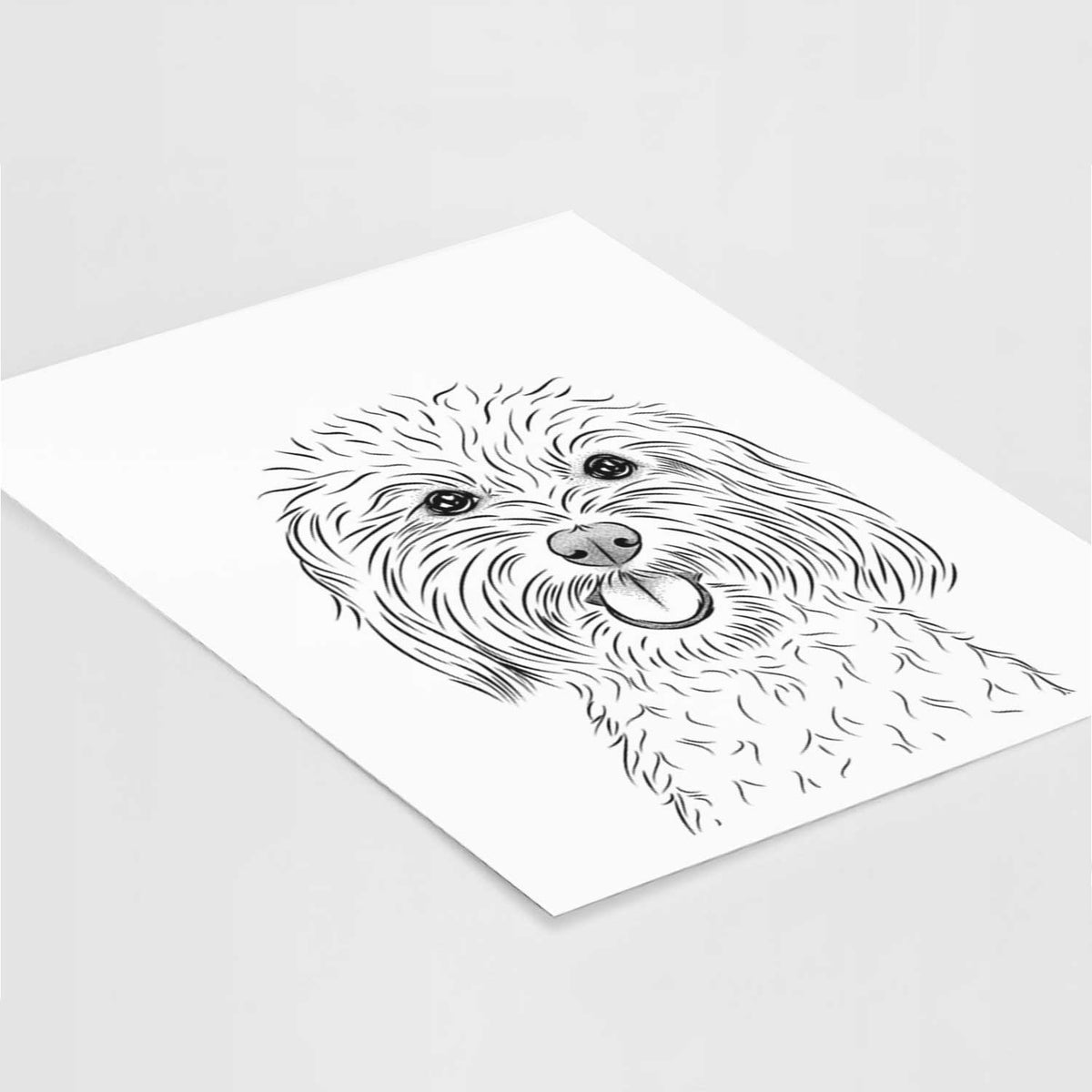Cuddles the Coton de Tulear Art Print
