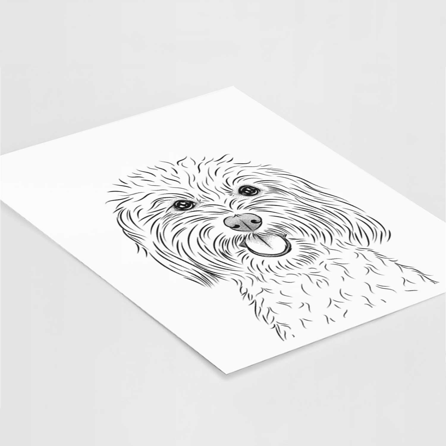 Cuddles the Coton de Tulear Art Print