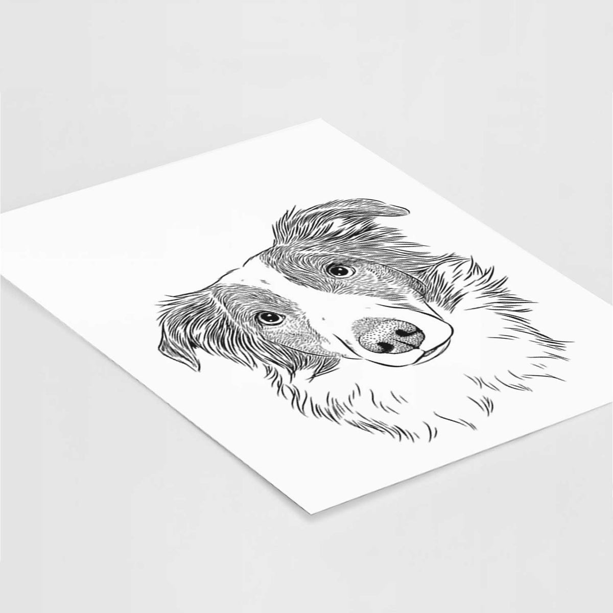 Cyclone the Australian Shepherd Art Print