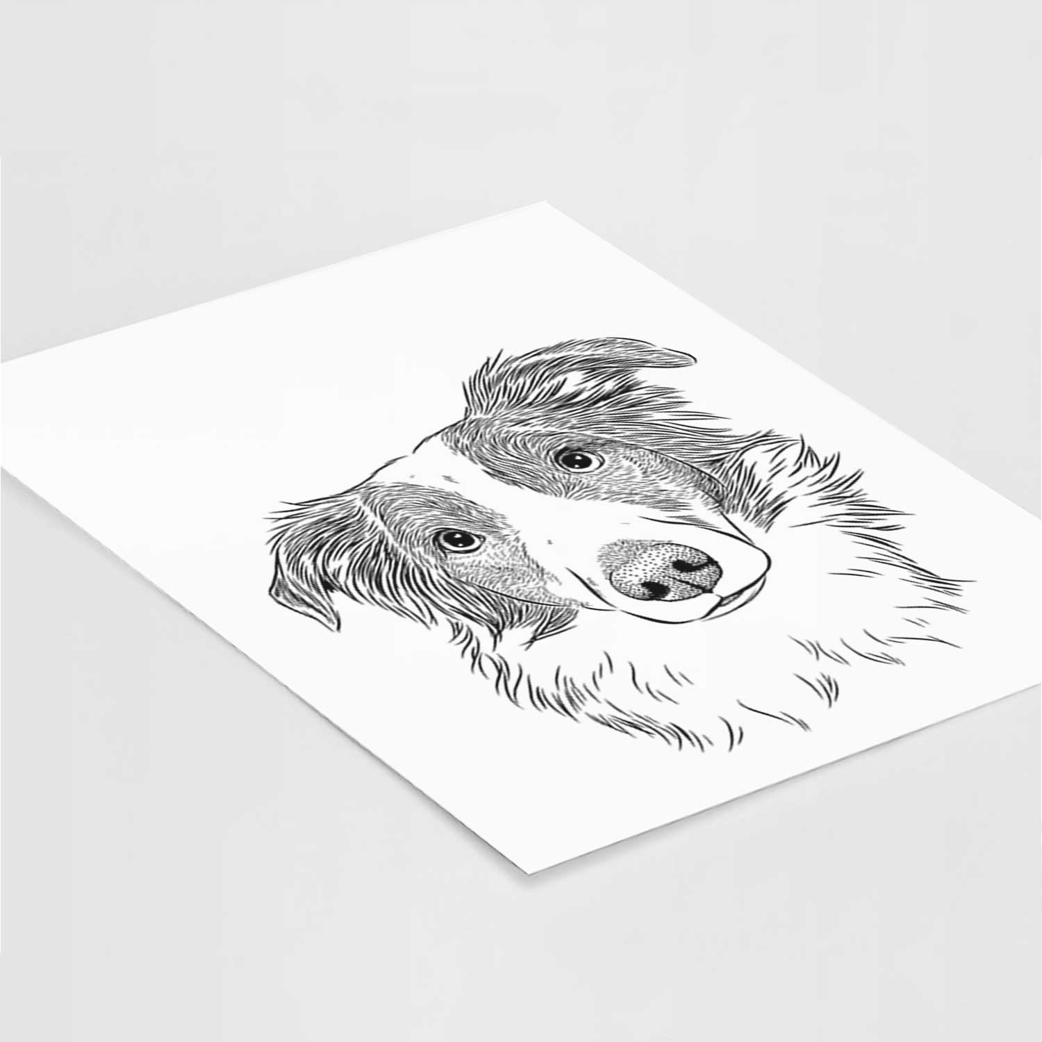 Cyclone the Australian Shepherd Art Print