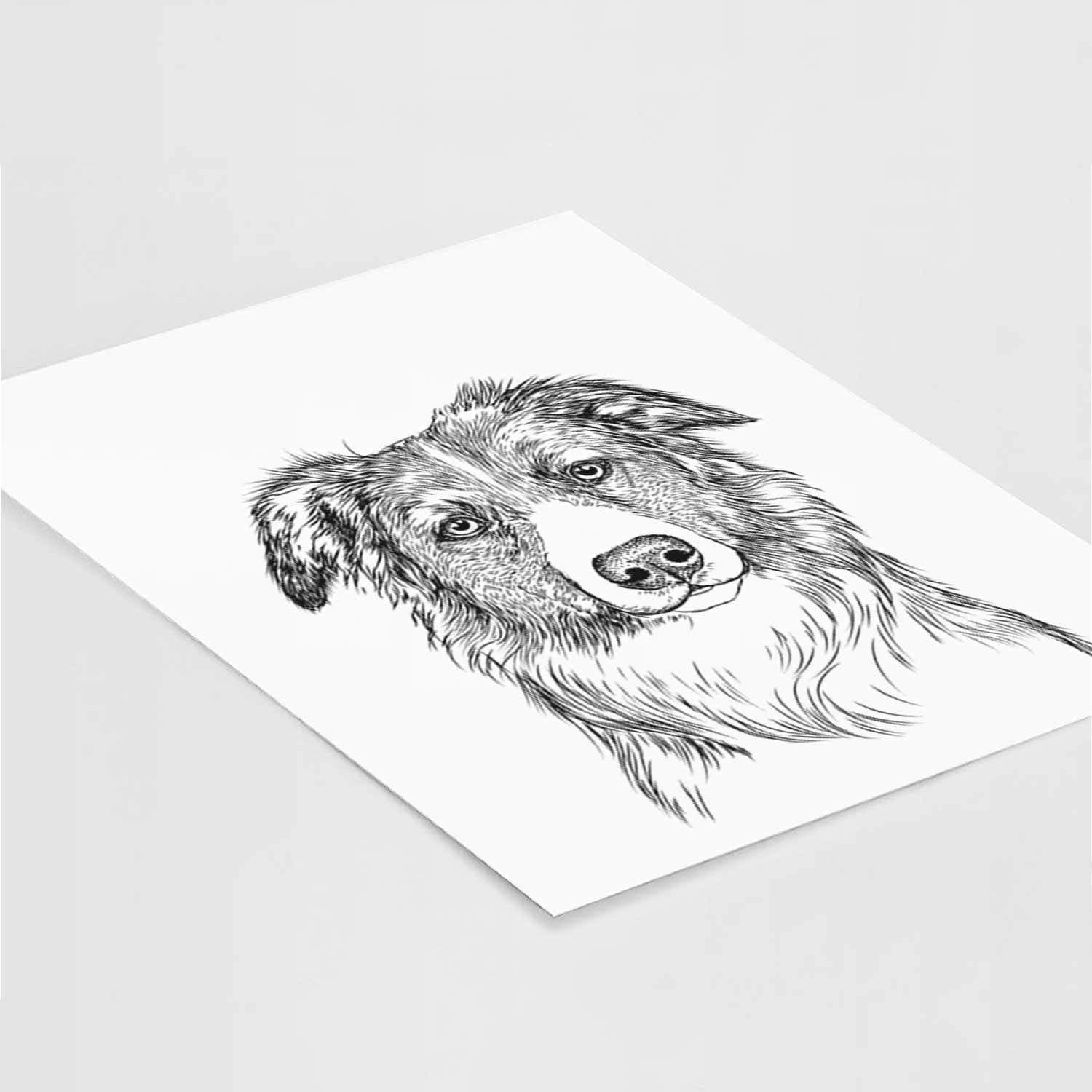 Cynder the English Shepherd Art Print