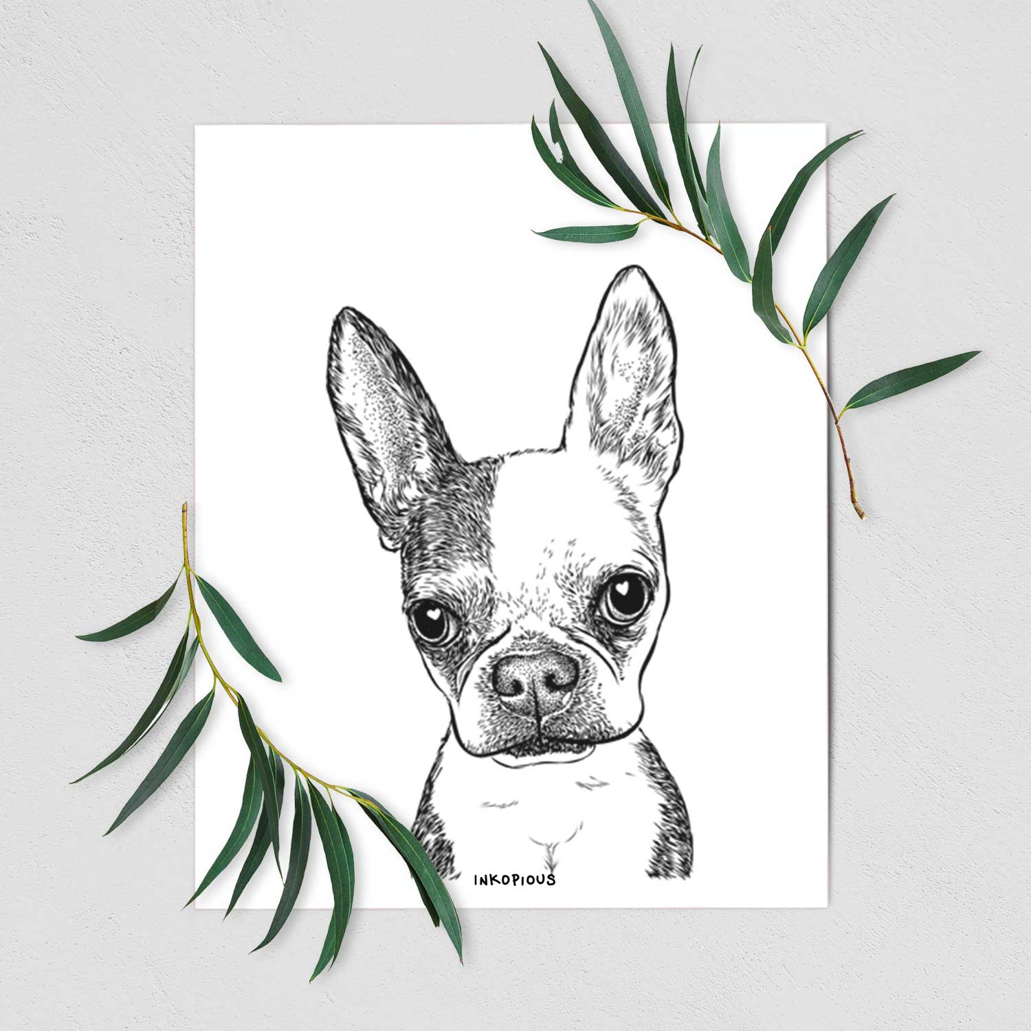 Daisy the Boston Terrier Art Print