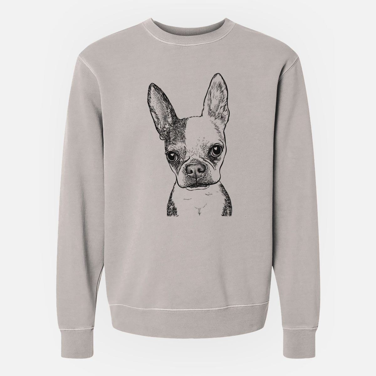 Bare Daisy the Boston Terrier - Unisex Pigment Dyed Crew Sweatshirt