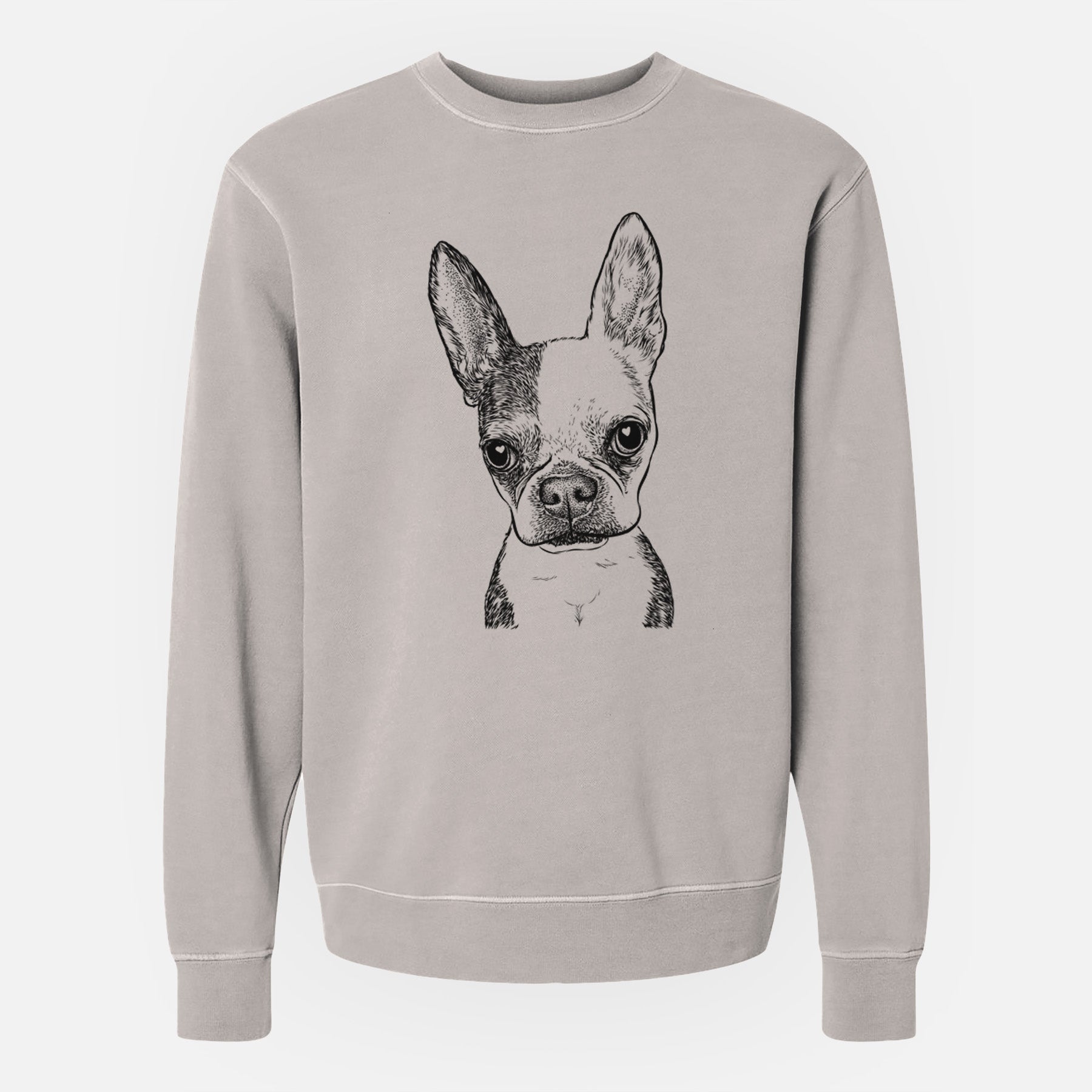 Bare Daisy the Boston Terrier - Unisex Pigment Dyed Crew Sweatshirt