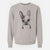 Bare Daisy the Boston Terrier - Unisex Pigment Dyed Crew Sweatshirt