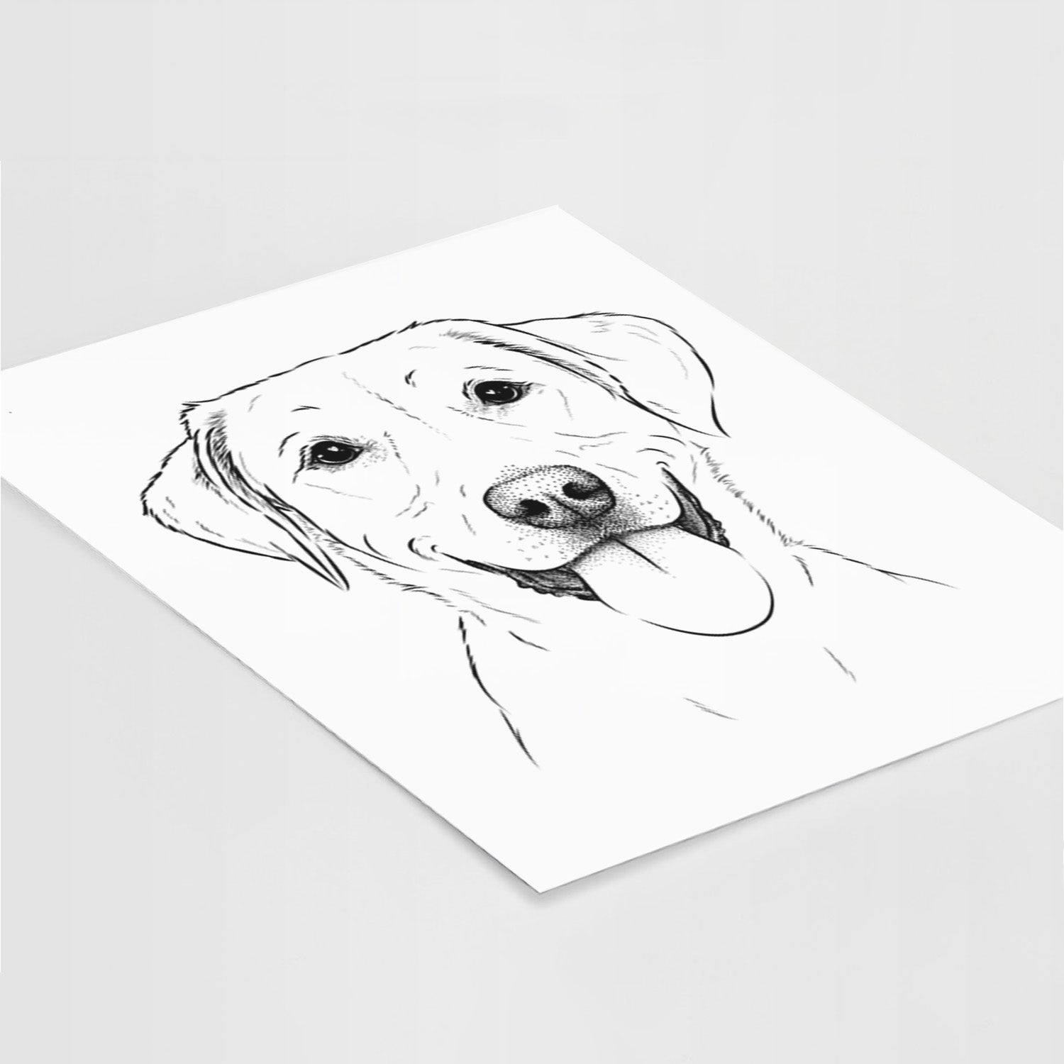 Daisy the Labrador Retriever Art Print