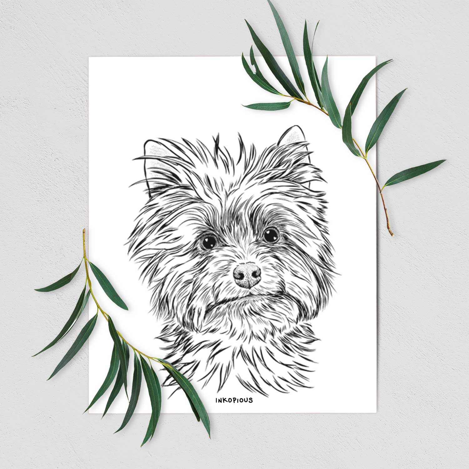 Dakota the Yorkshire Terrier Art Print