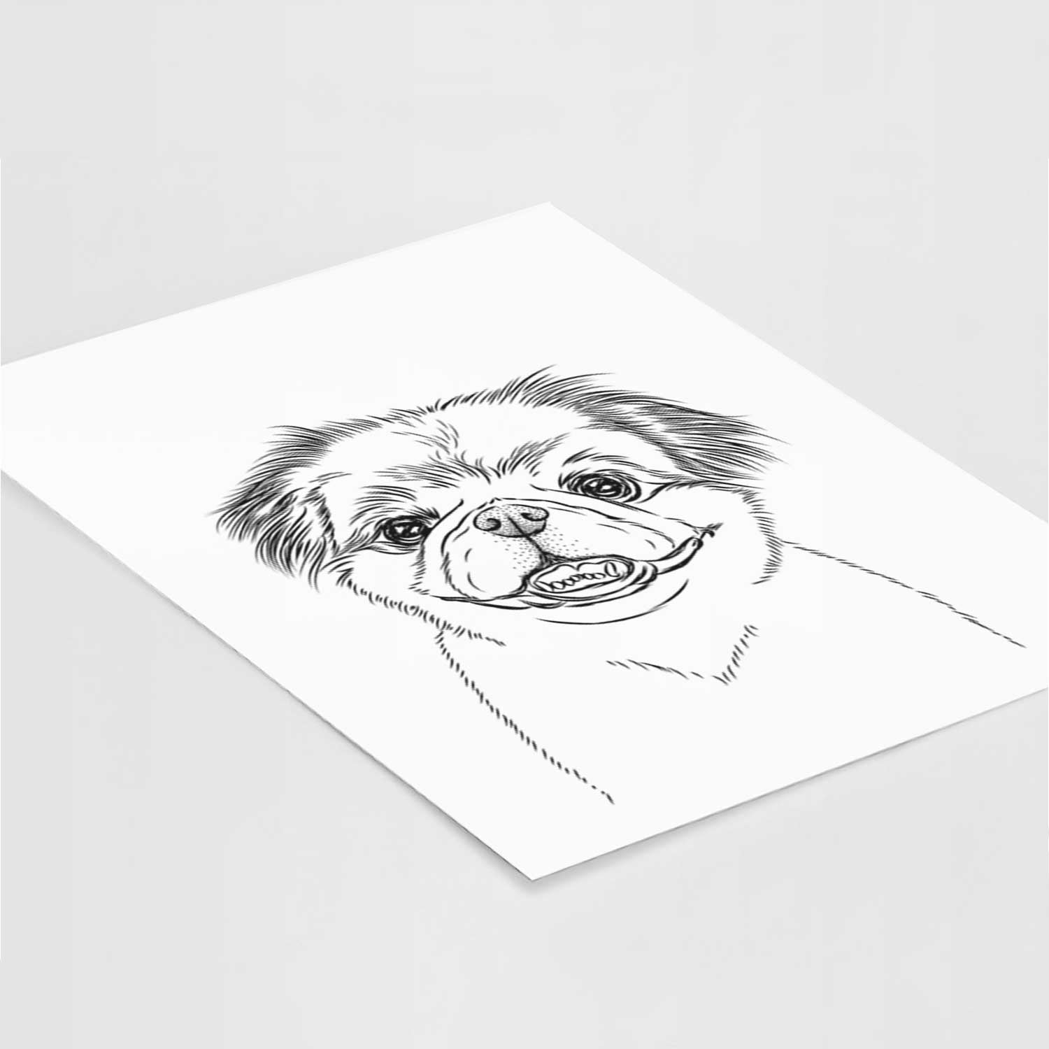 Danny the Pekingese Art Print