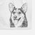 Darma the Corgi Decorative Hand Towel