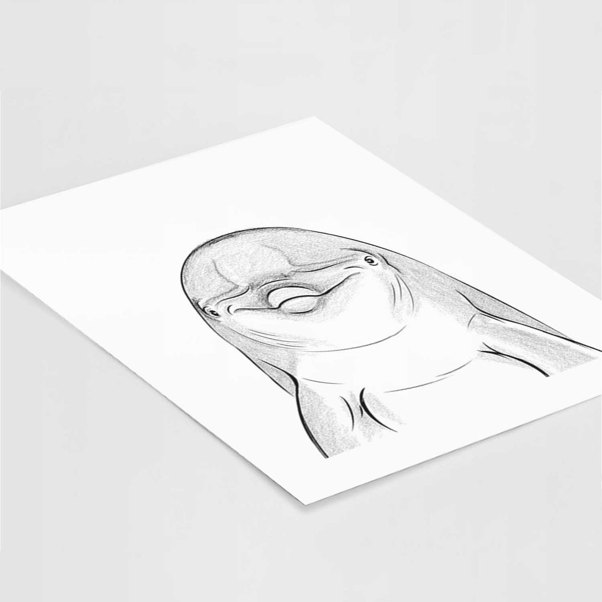 Dave the Dolphin Art Print