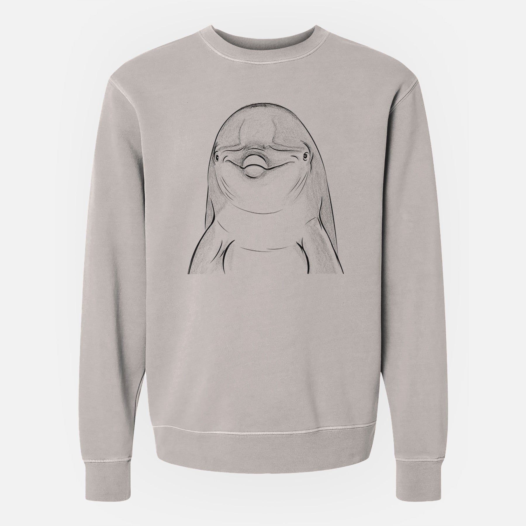 Bare Dave the Dolphin - Unisex Pigment Dyed Crew Sweatshirt