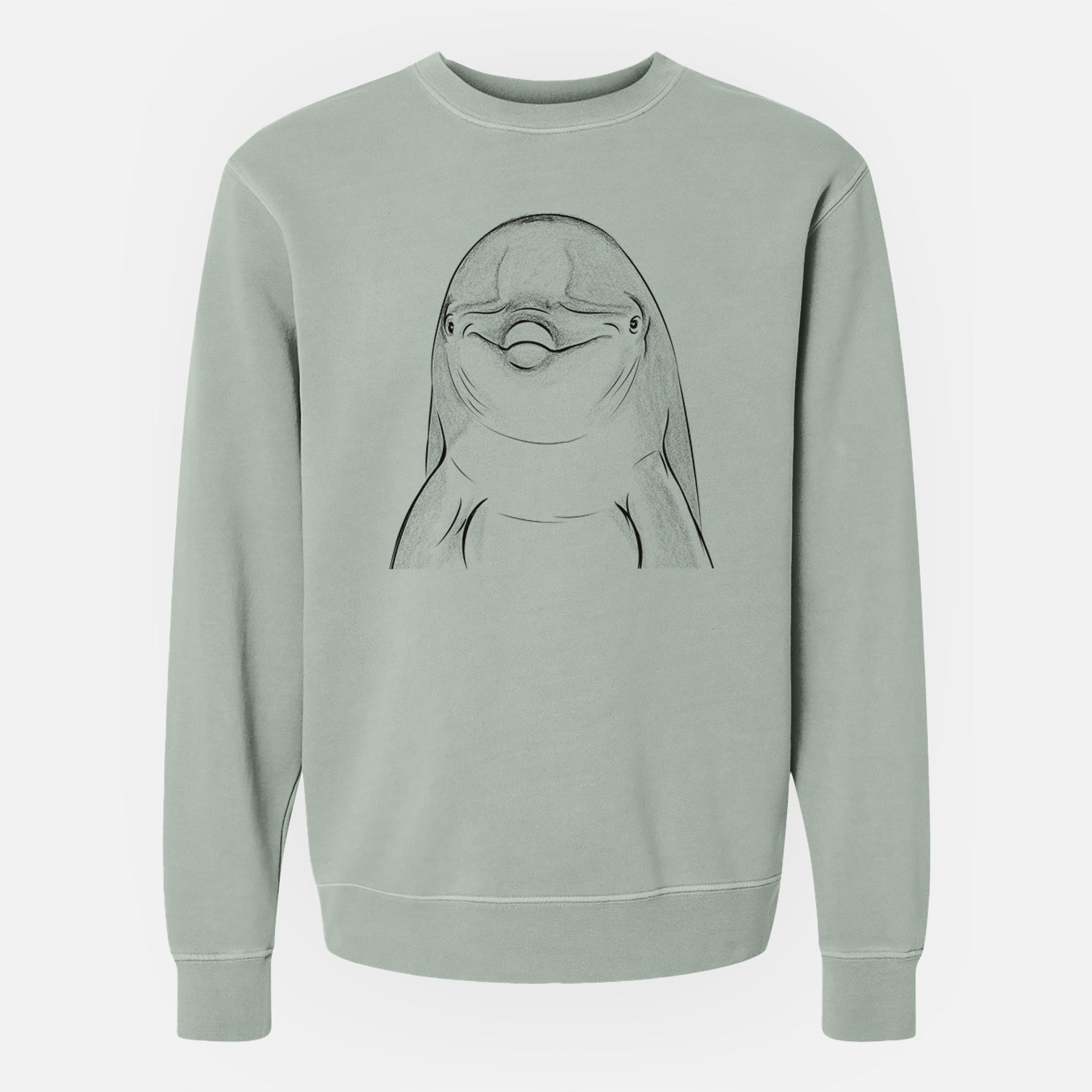 Bare Dave the Dolphin - Unisex Pigment Dyed Crew Sweatshirt