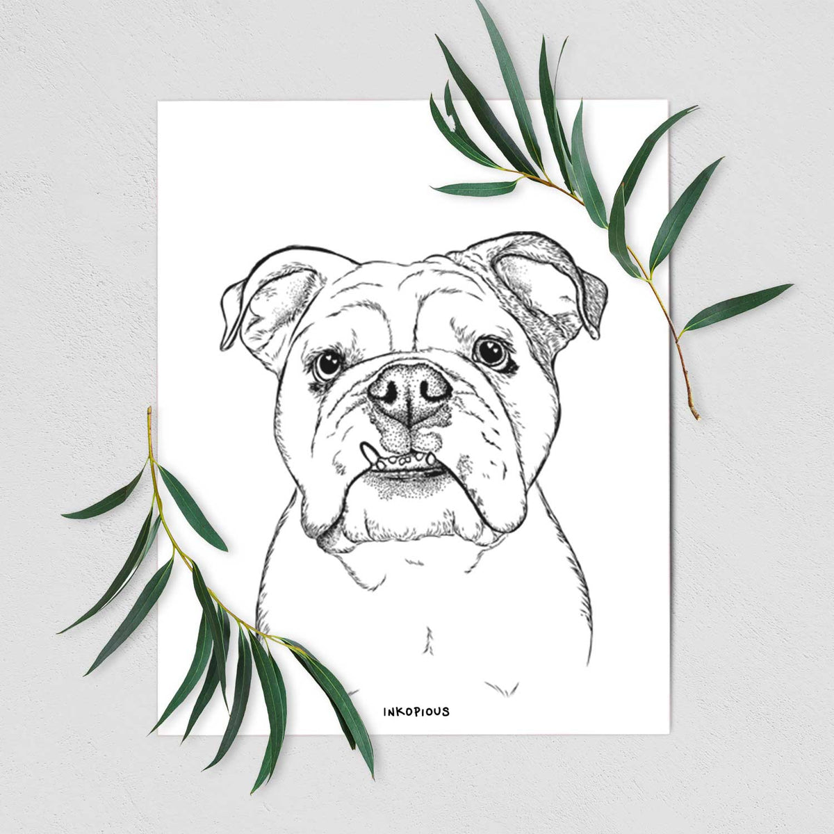 Dazy the English Bulldog Art Print