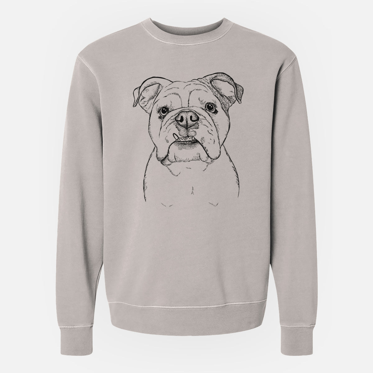 Bare Dazy the English Bulldog - Unisex Pigment Dyed Crew Sweatshirt