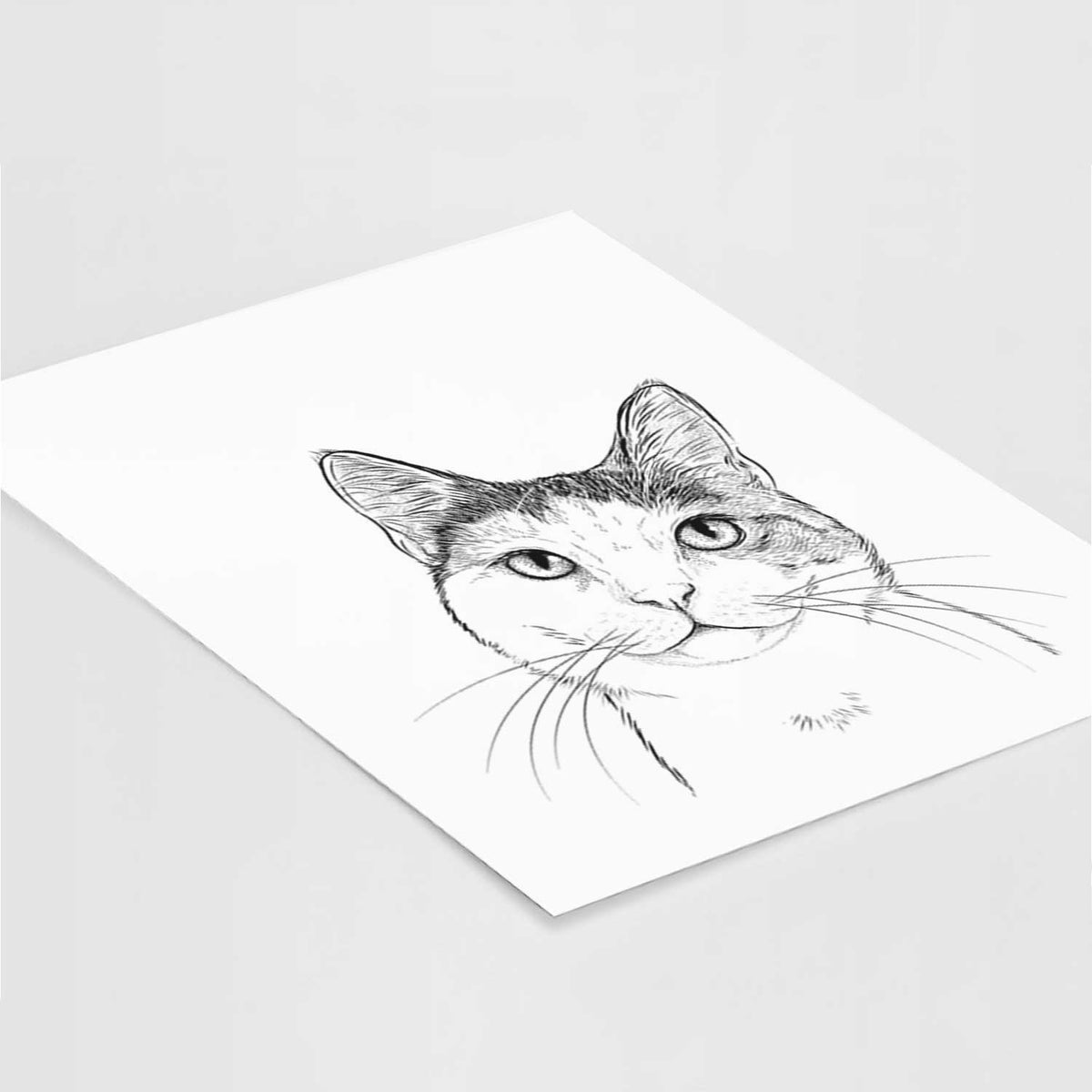 Denver the Calico Cat Art Print