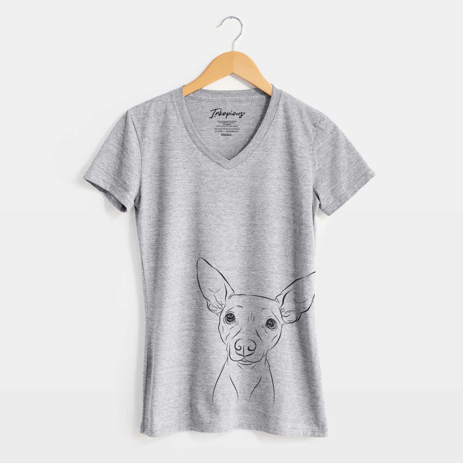 Bare Desi the American Hairless Terrier - Women's V-neck Shirt