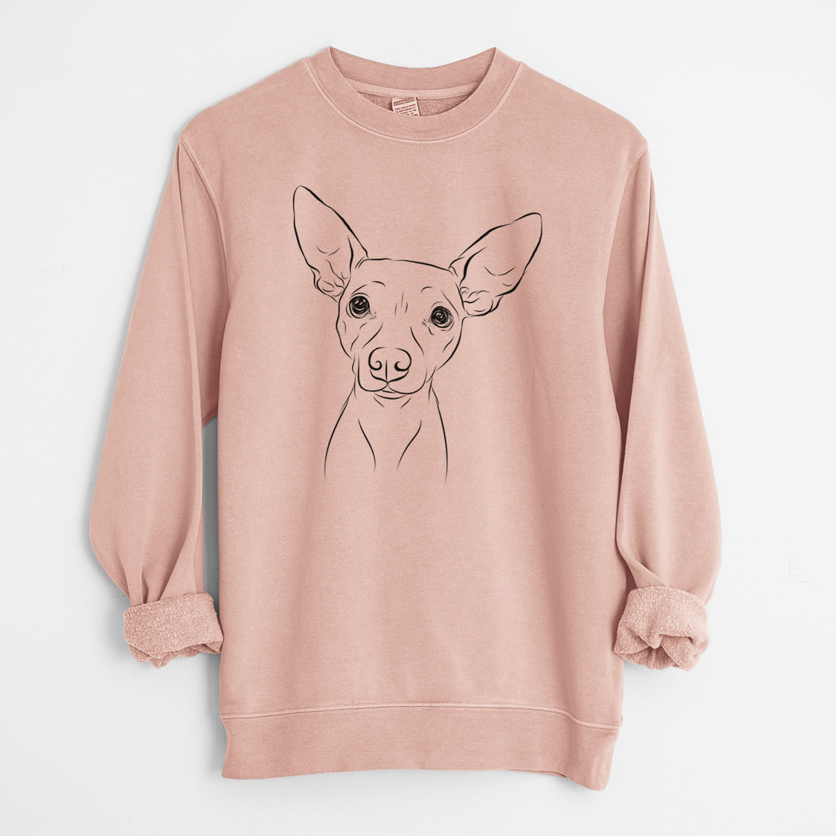Bare Desi the American Hairless Terrier - Unisex Pigment Dyed Crew Sweatshirt