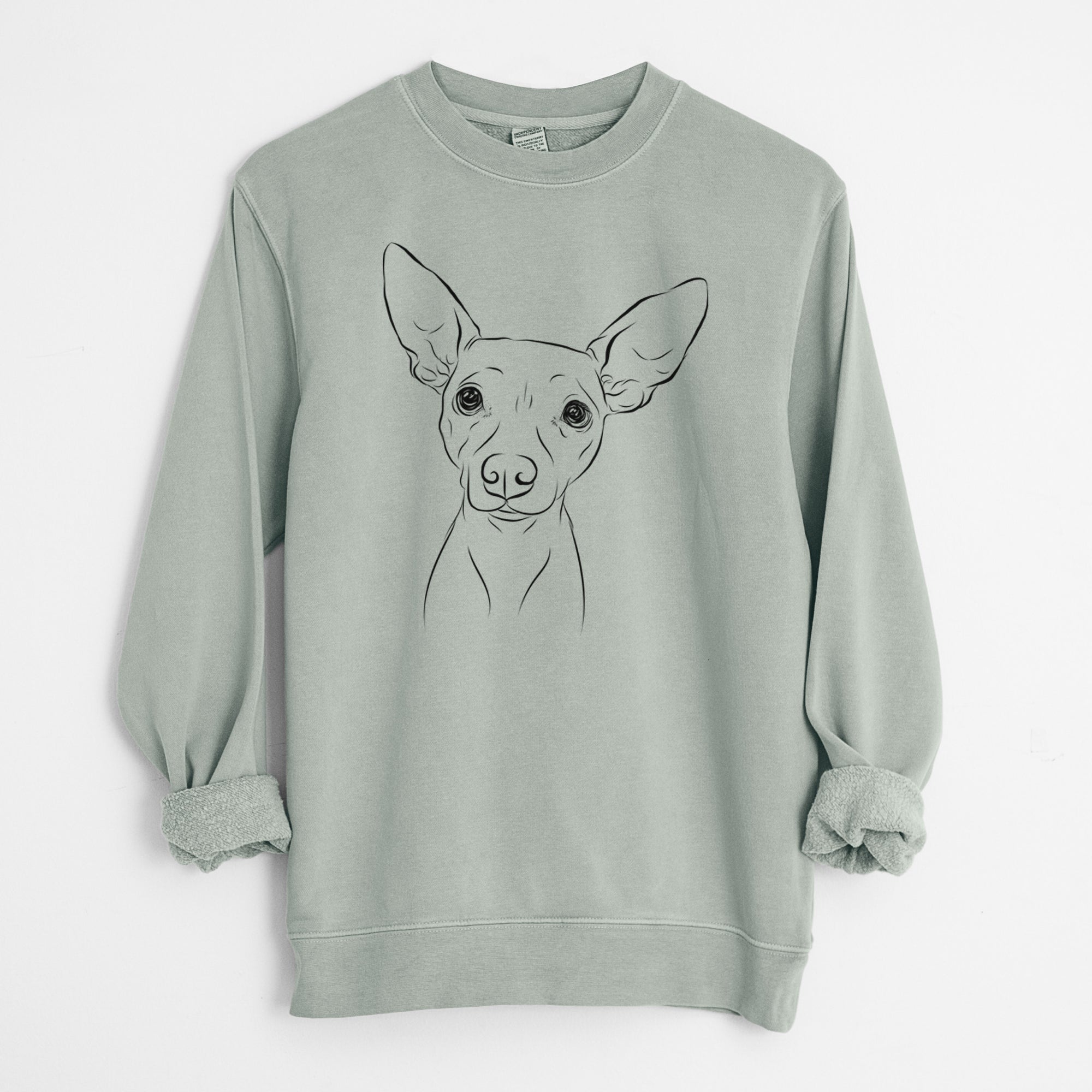 Bare Desi the American Hairless Terrier - Unisex Pigment Dyed Crew Sweatshirt