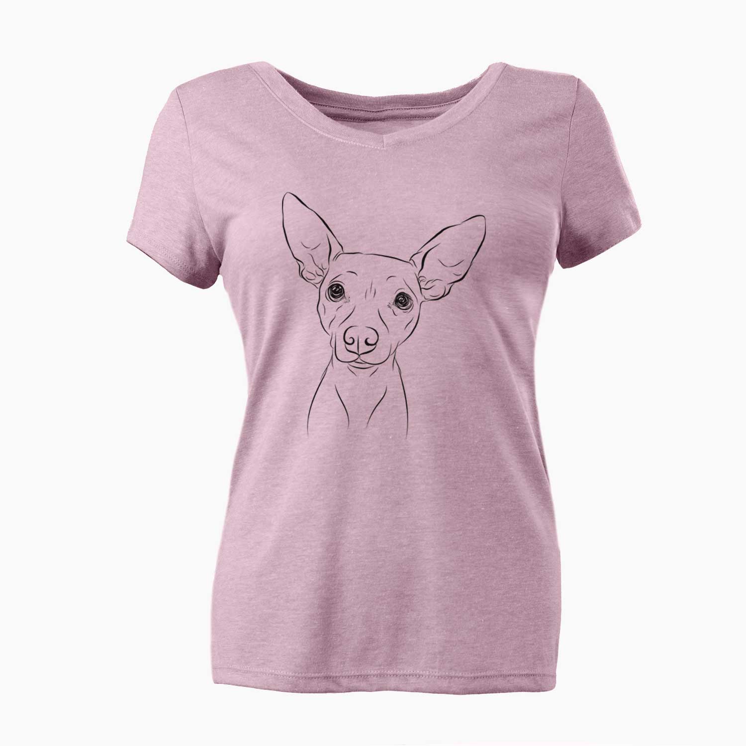 Bare Desi the American Hairless Terrier - Women's V-neck Shirt