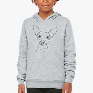 Desi the American Hairless Terrier - Youth Hoodie Sweatshirt