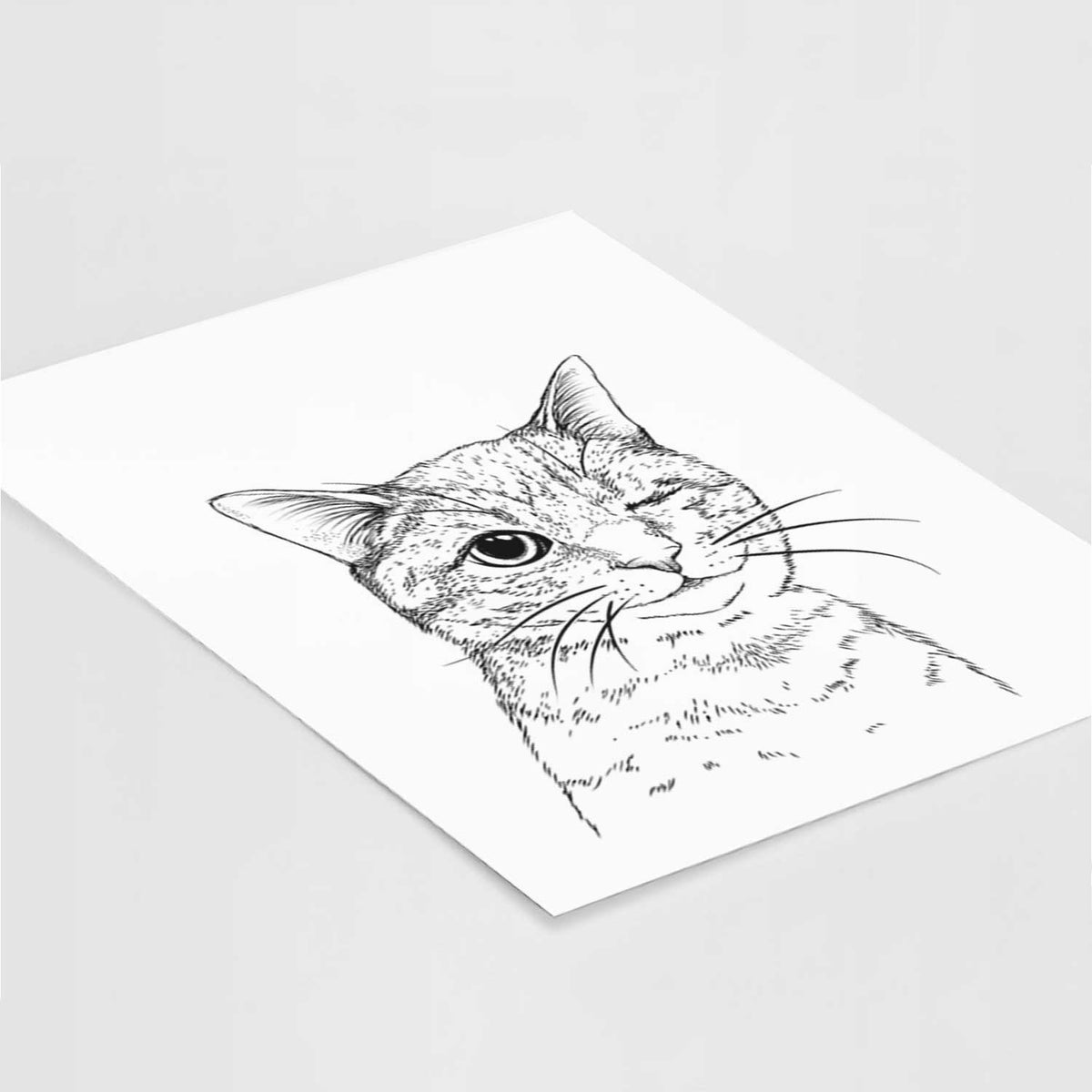 Dexter the Domestic Shorthair Cat Art Print