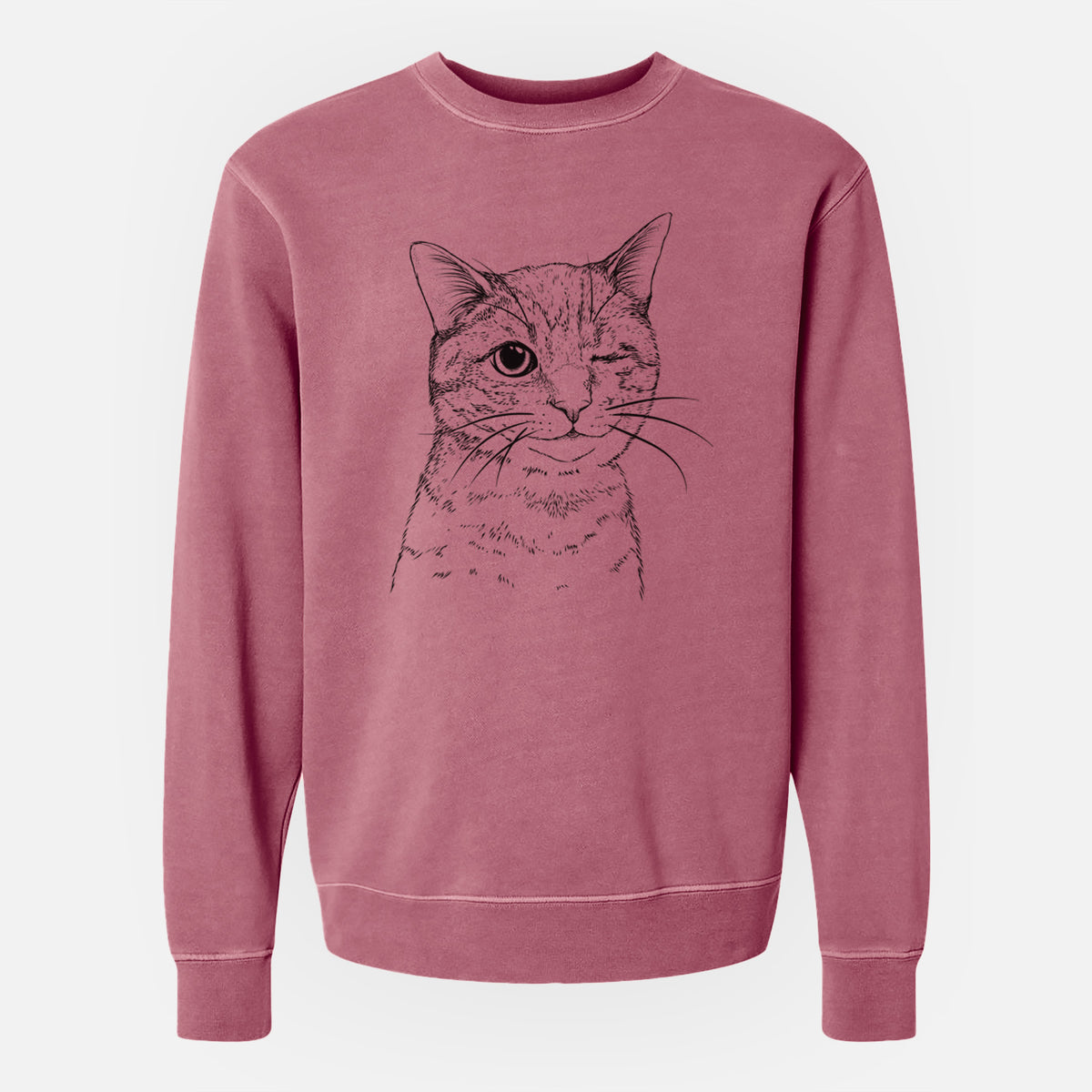 Bare Dexter the Domestic Shorthair - Unisex Pigment Dyed Crew Sweatshirt