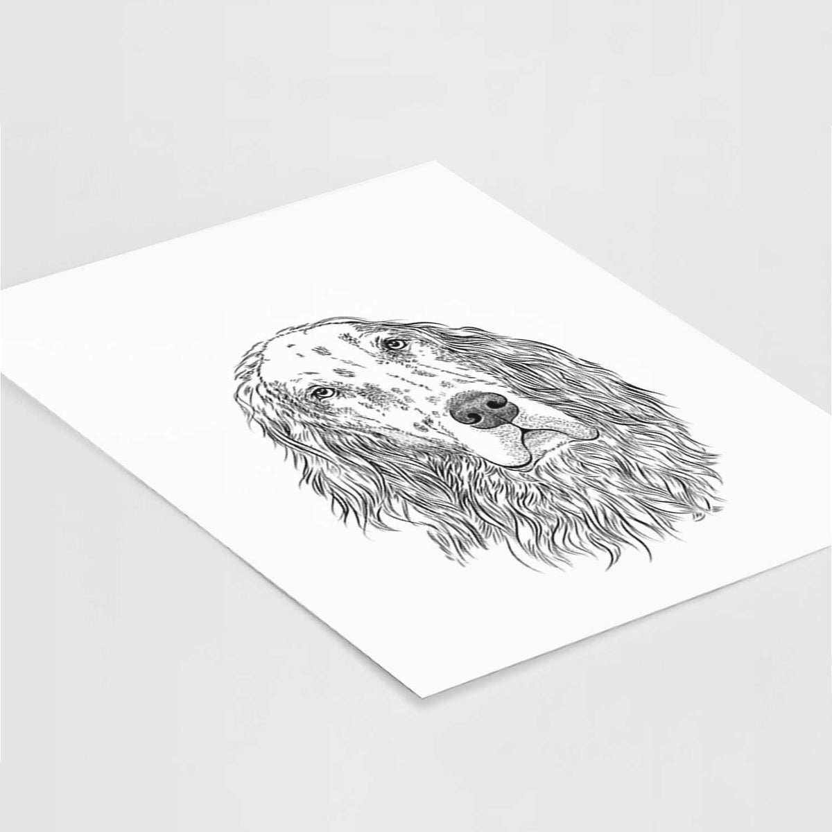 Dexter the English Setter Art Print