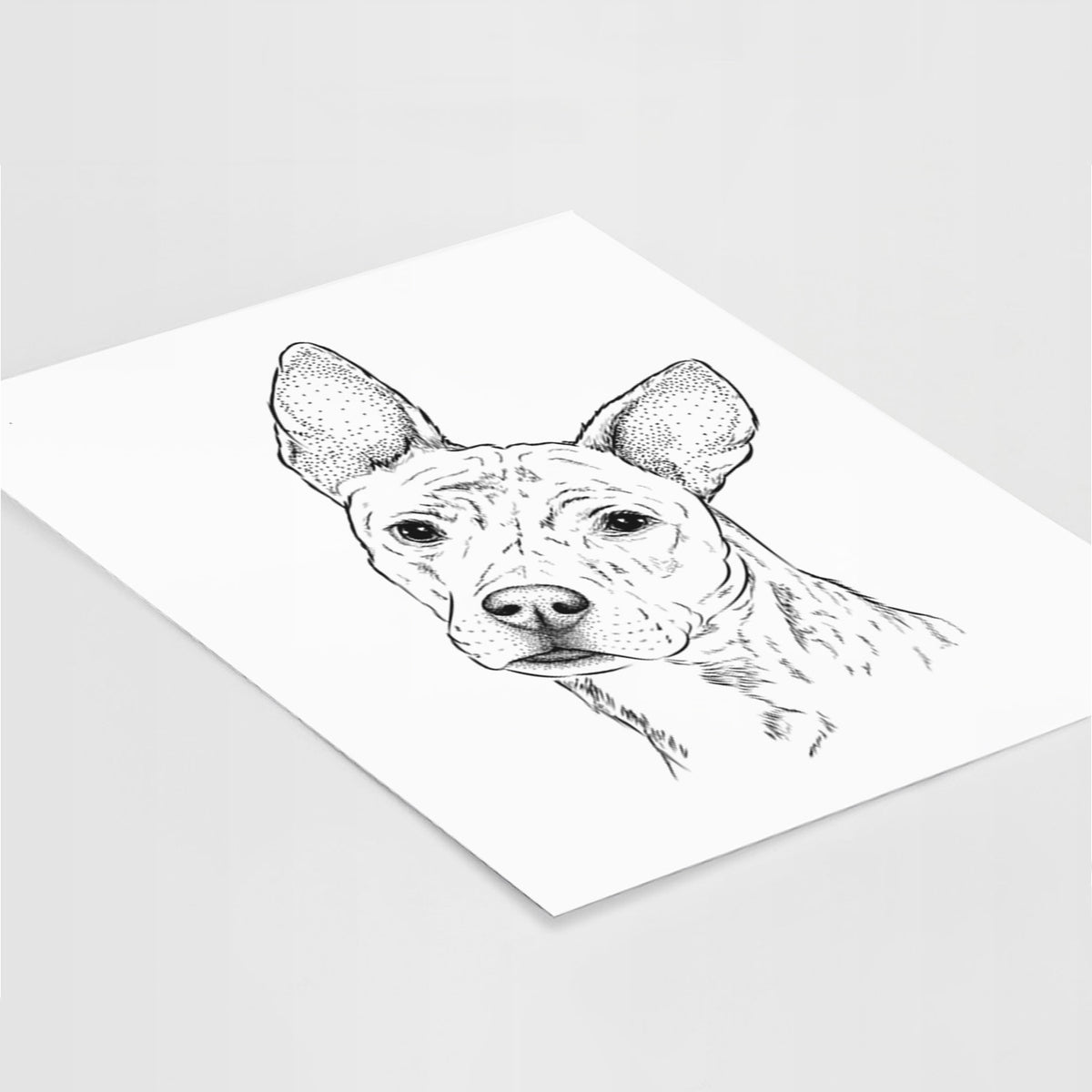Diesel the Mixed Breed Art Print