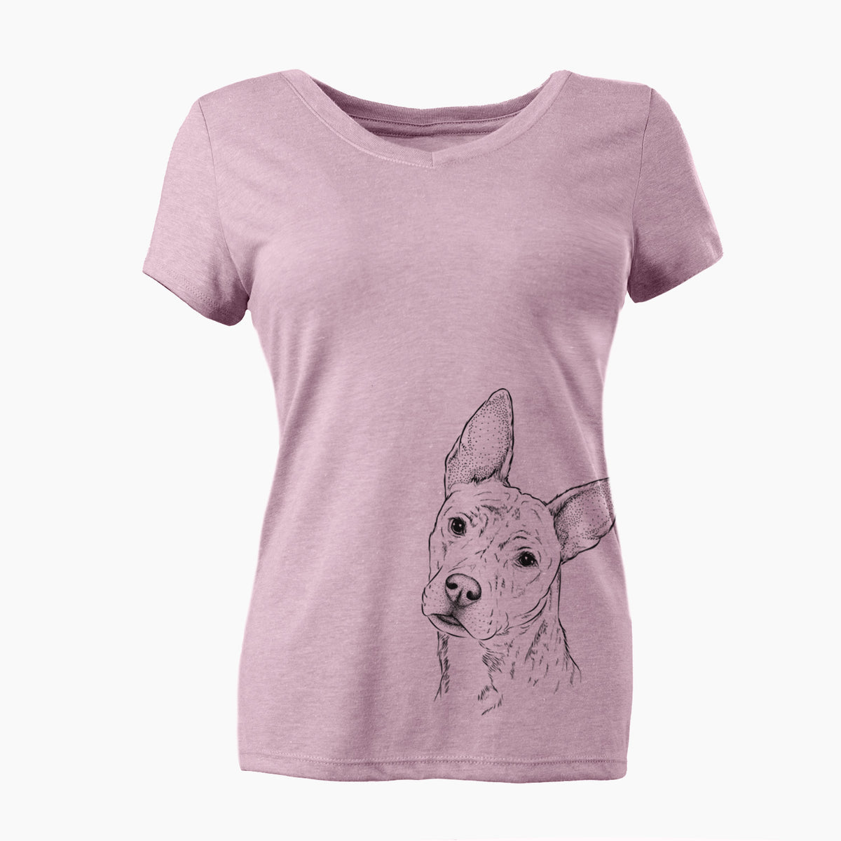 Bare Diesel the Mixed Breed - Women's V-neck Shirt