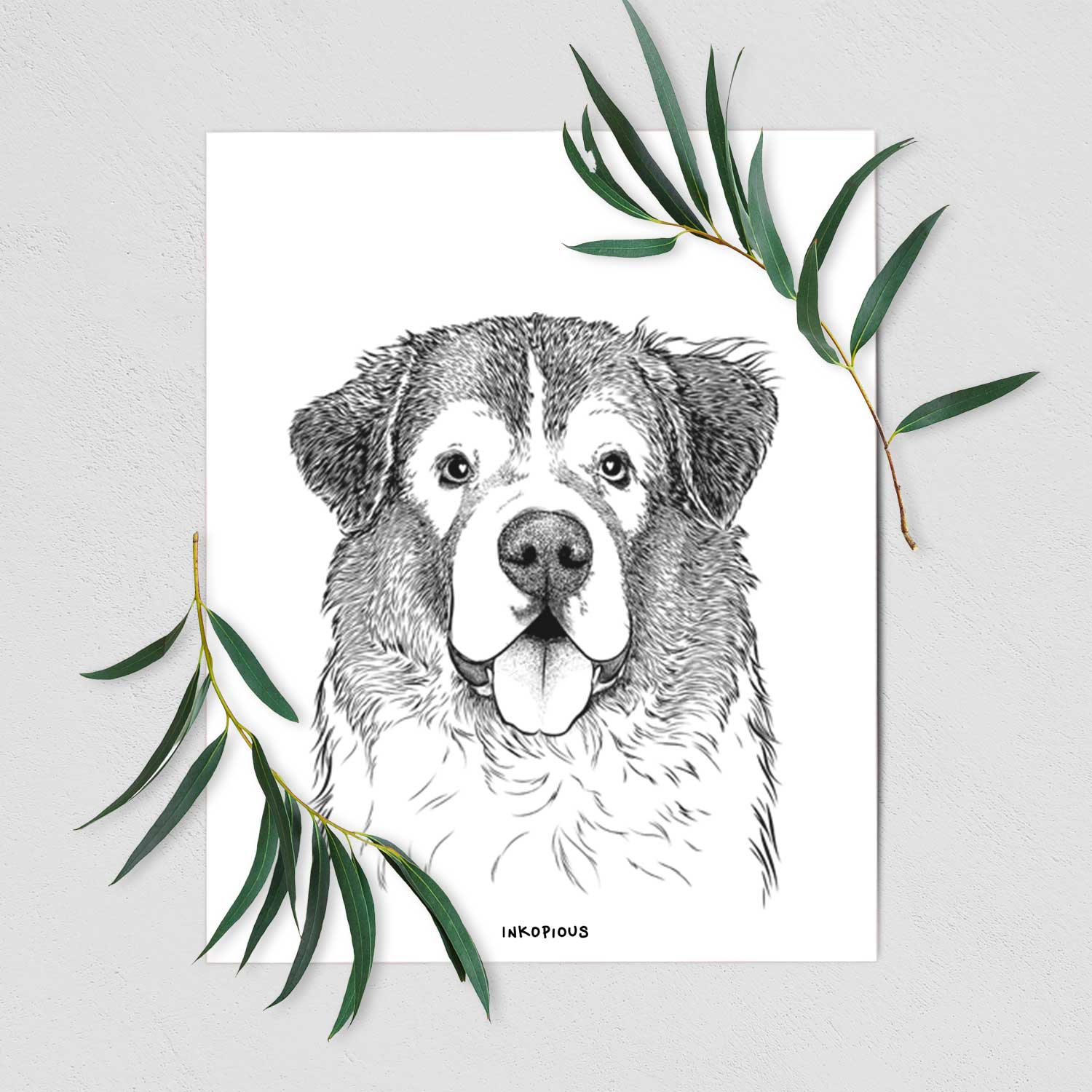 Dilly the Saint Bernard Art Print