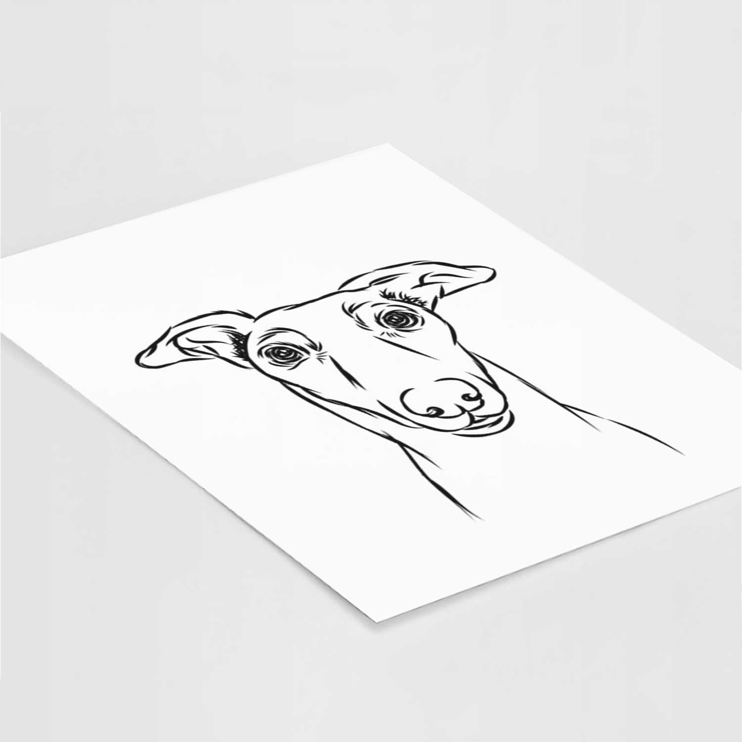 Diva the Greyhound Art Print