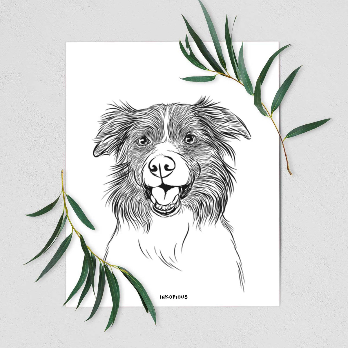 Dizzy the Border Collie Art Print