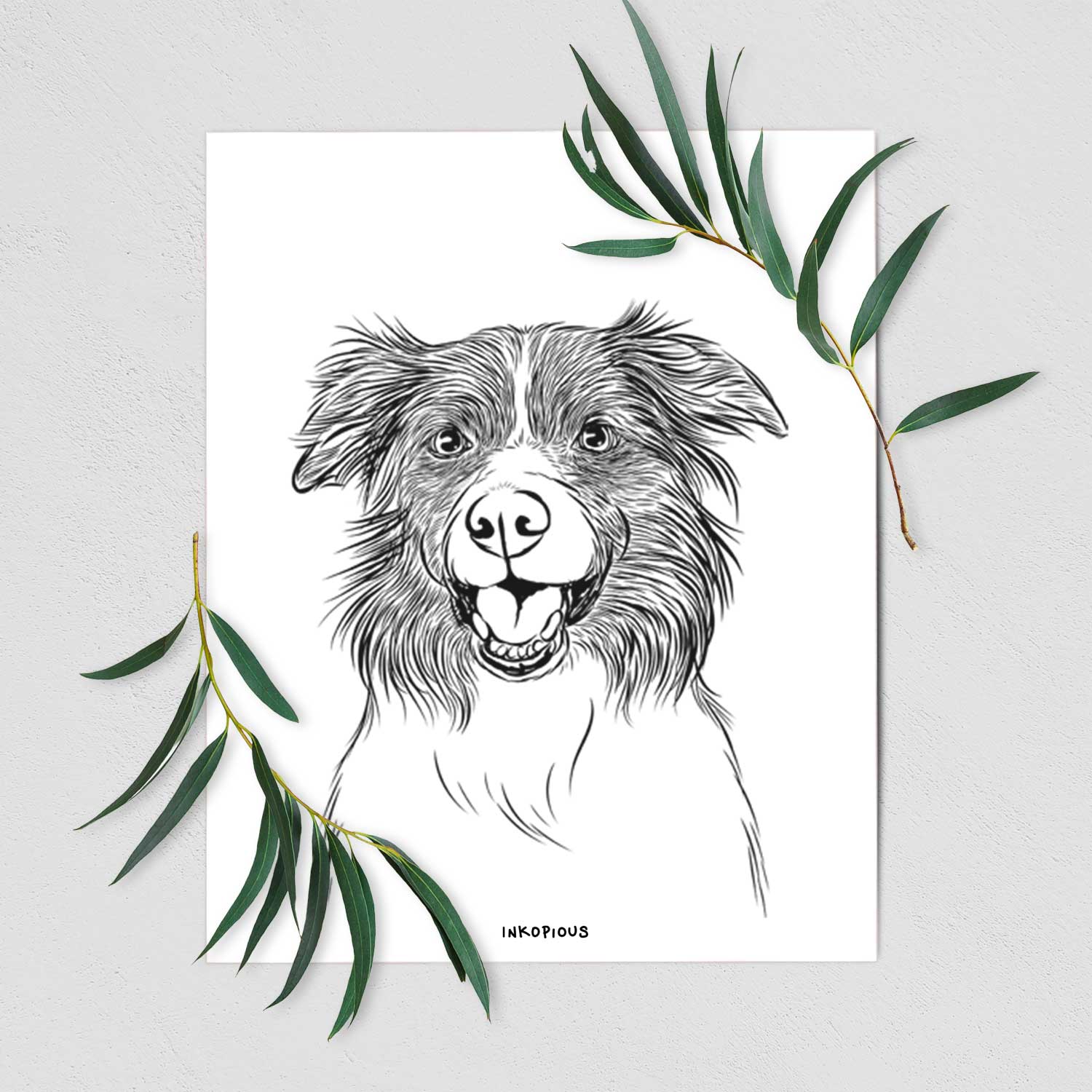 Dizzy the Border Collie Art Print