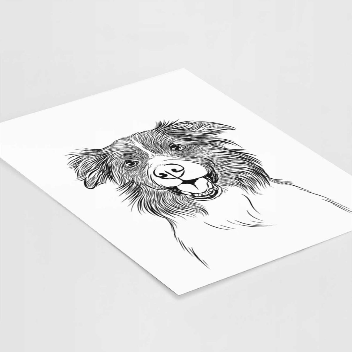 Dizzy the Border Collie Art Print