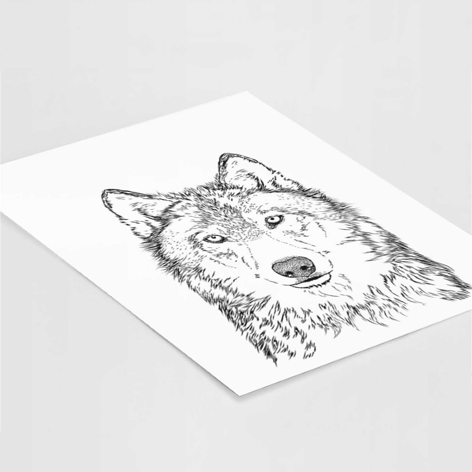 Django the Grey Wolf Art Print